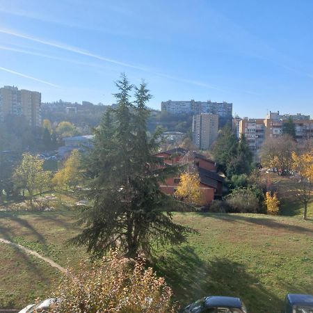 Apartman 23 Belgrado Esterno foto