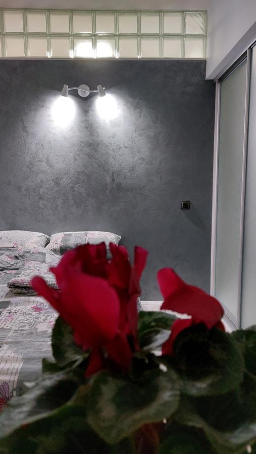 Apartman 23 Belgrado Esterno foto