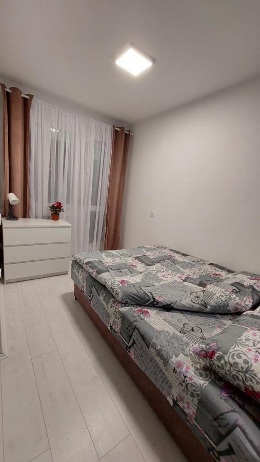 Apartman 23 Belgrado Esterno foto